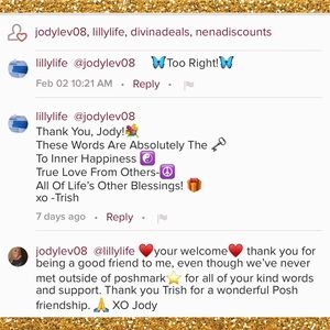 Poshmark Boss Bag ⭐️⭐️⭐️⭐️⭐️